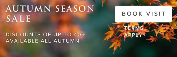 autumn shutter sale banner